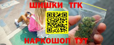 гидра Заводоуковск