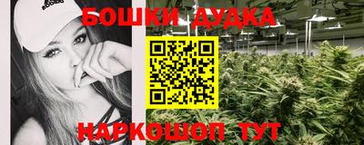 гидра Заводоуковск