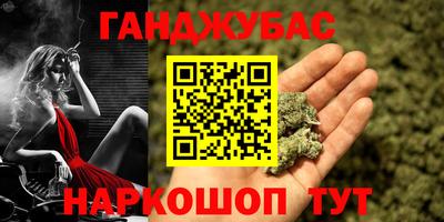 гидра Заводоуковск