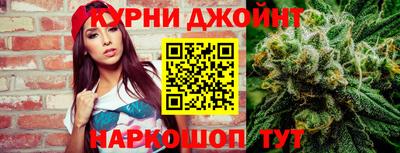 гидра Заводоуковск