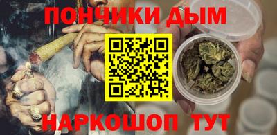 гидра Заводоуковск