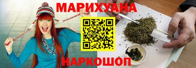 гидра Заводоуковск