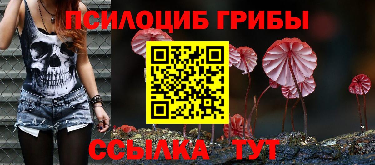 Краснознаменск  Галлюциногенные грибы Psilocybine cubensis  Вход с VPN 